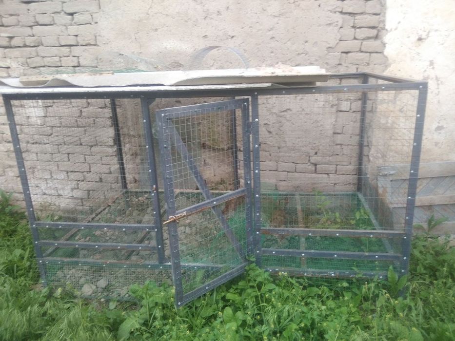 Кафас сотилади товуклар бокишга