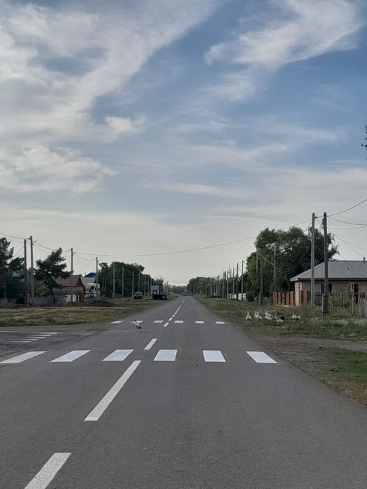 Дорожная разметка