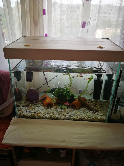 Аквариум уборудван с всичко необходимо и рибки, 100 литра