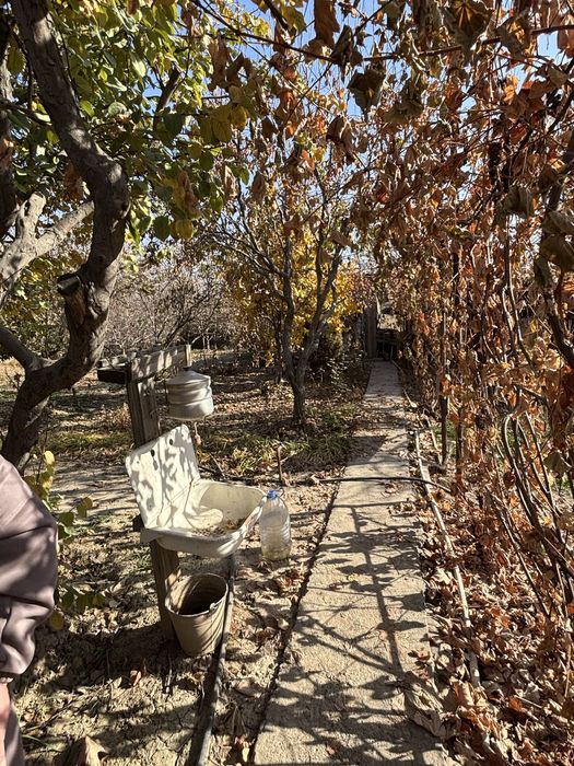 Срочно !  Продается  Дача  Паркент