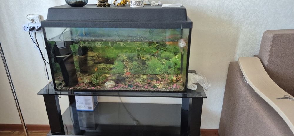 Продам аквариум с рыбками