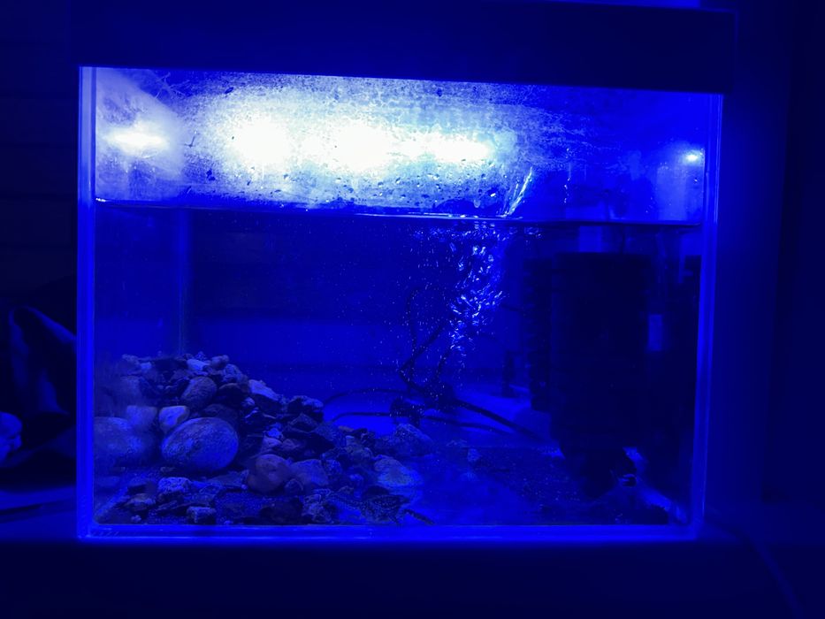 Аквариум 25-30 литров