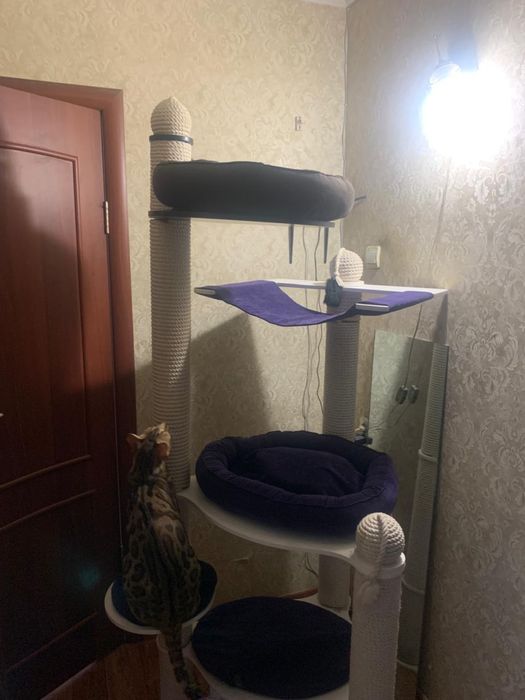 Игровой домик для кошек с диваном