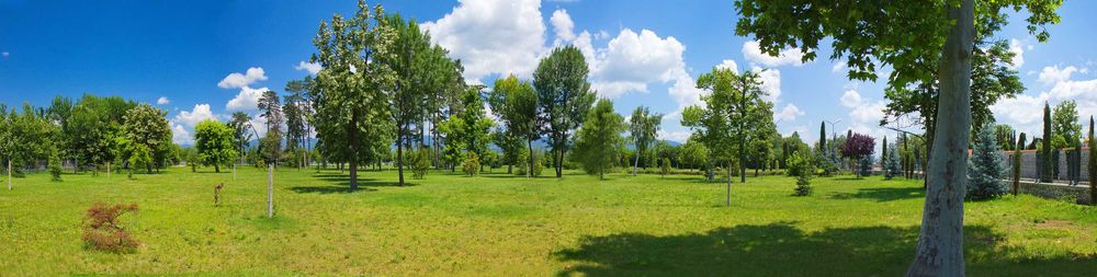 Продава се Парцел в с. Овощник, Област Стара Загора - 3000 кв.м за 100 €/кв.м - Снимка #7