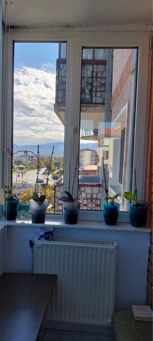 Apartament 3 camere
