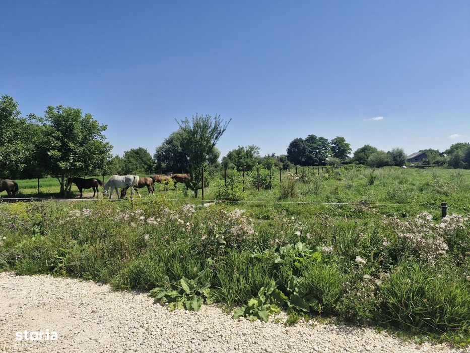 Teren intravilan de vânzare în Stupini
