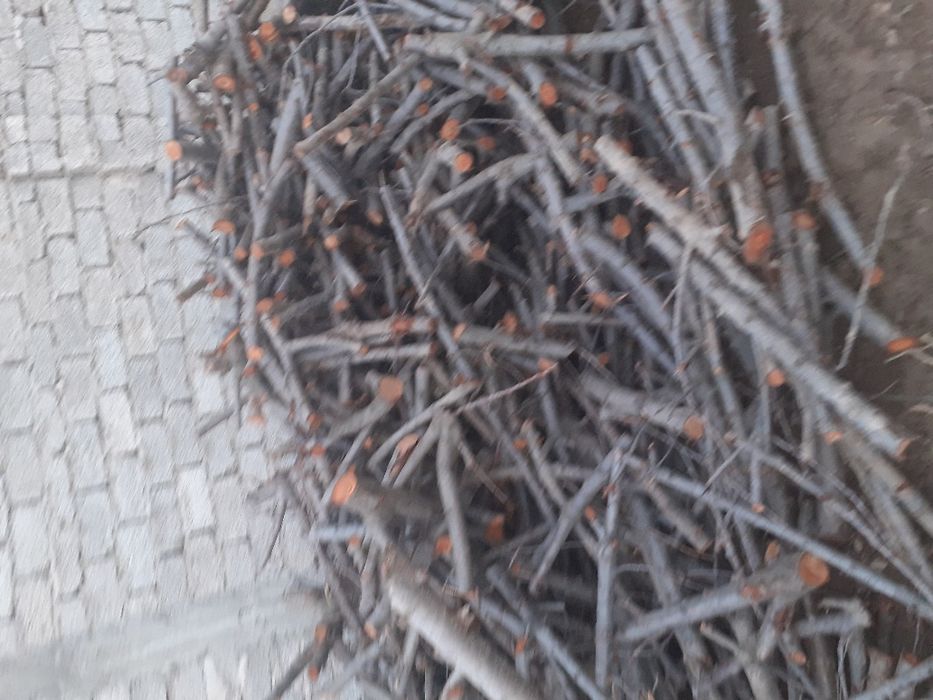 Васалик ва утин сотилади