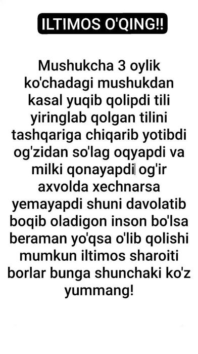 Mushuk hadyaga beriladi