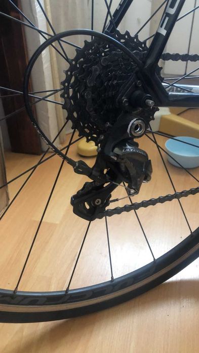 Focus Cayo Carbon Full Carbon Ultegra 2x11 Fulcrum L 57