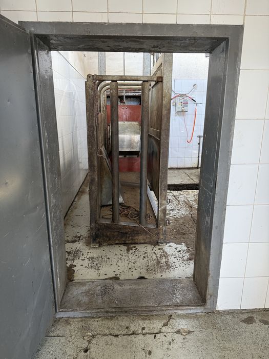 Убойный пункт для забоя скота