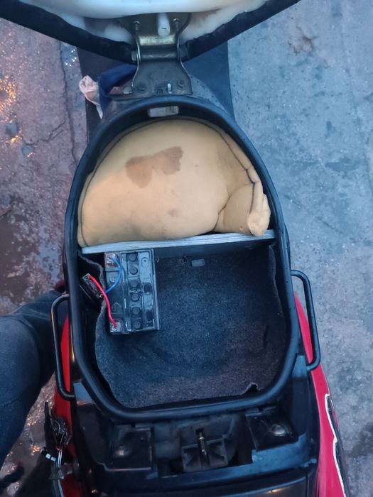 Продам SUZUKI sepia zz