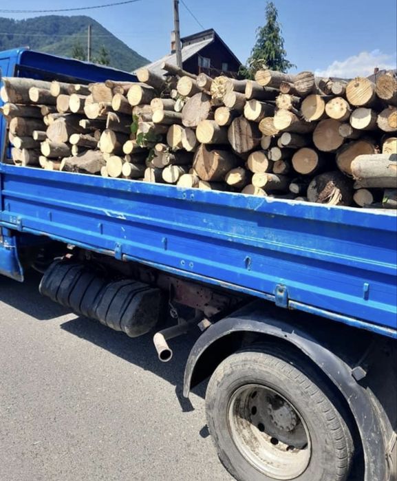 Raritura fag! Detalii la telefon!