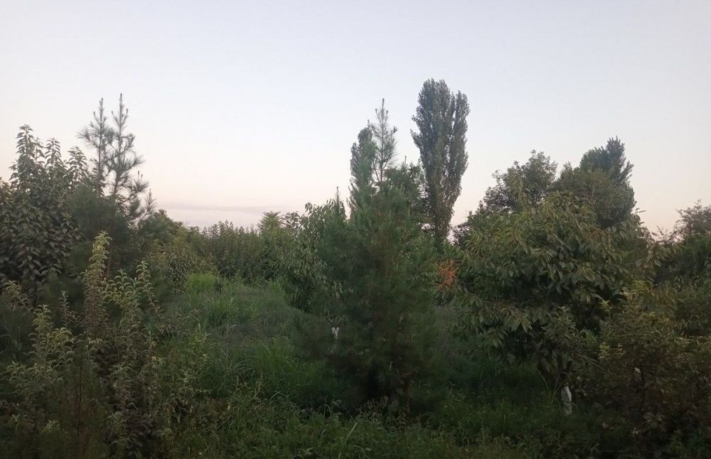 Продам срочно свой участок 30 соток 5 комнаты на уртачирчикчком районе