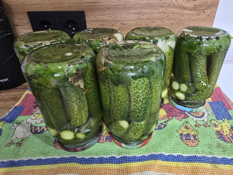 Огурчики солёные