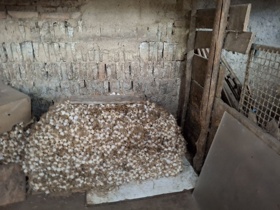 Usturoi și ceapa de vinzare,În Macrina, jud Buzău