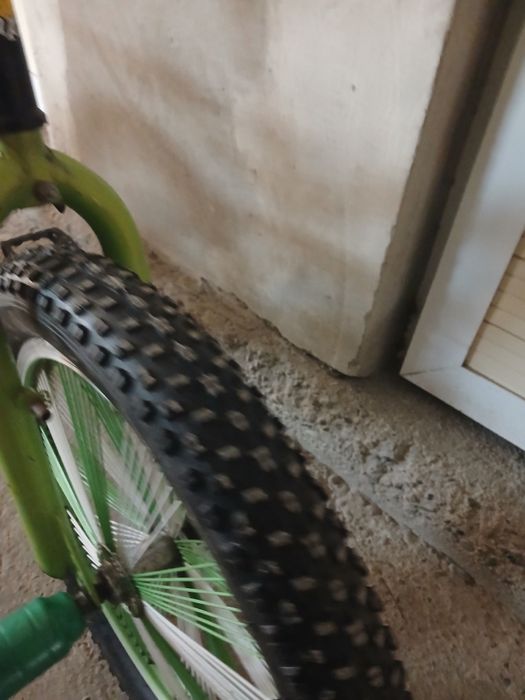 Барс велик сотилади