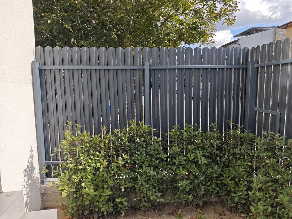 Gard viu/Arbusti/Tulpina - Photinia × fraseri "Red Robin" - Curte/Gradina