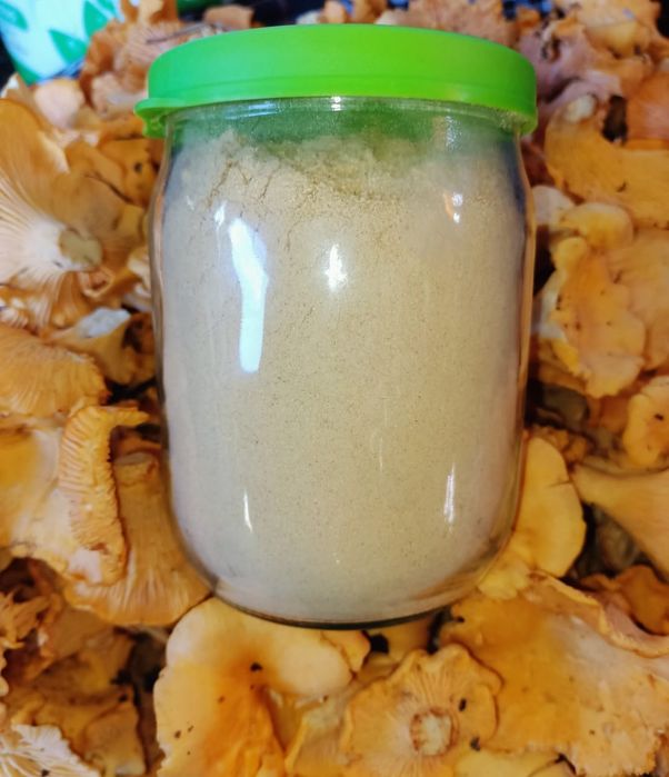 Продам сушёные лисички.