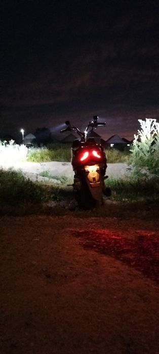 Pedo Gts sport italia