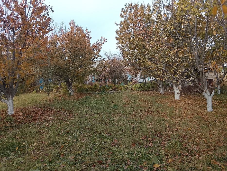 Срочна котта ховли сотилади