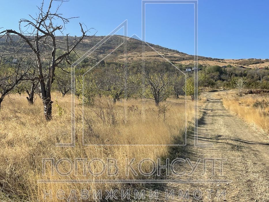 Продава се Парцел в с. Брестник, Област Пловдив - 1270 кв.м за 40 €/кв.м - Снимка #2