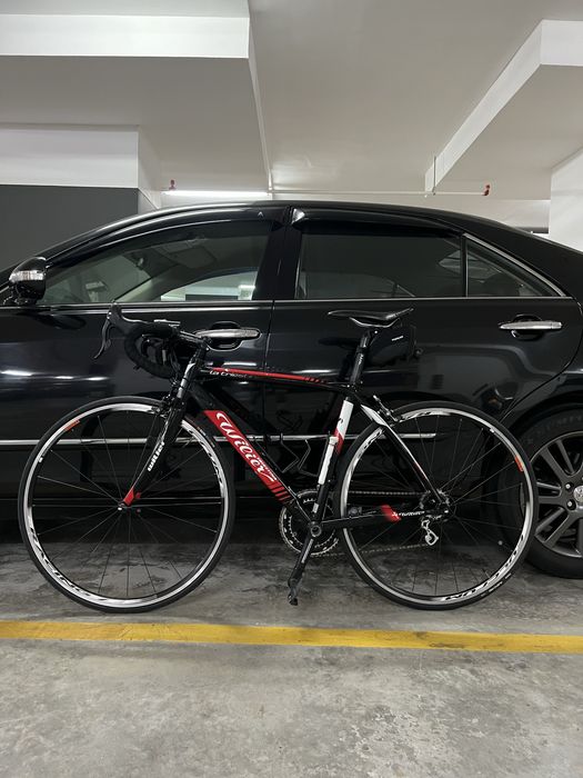 Wilier Triestina