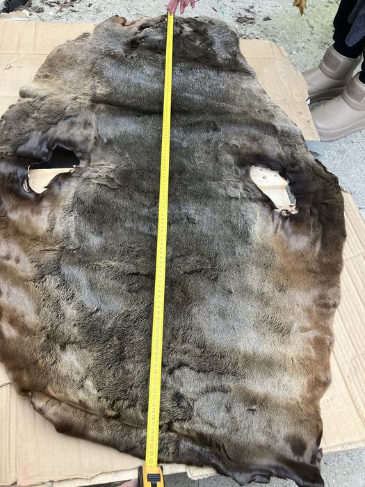 Blana naturala de Castor