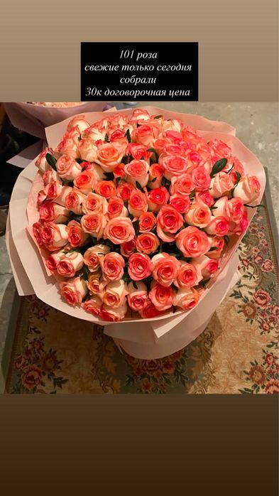 101 роза свежаяя