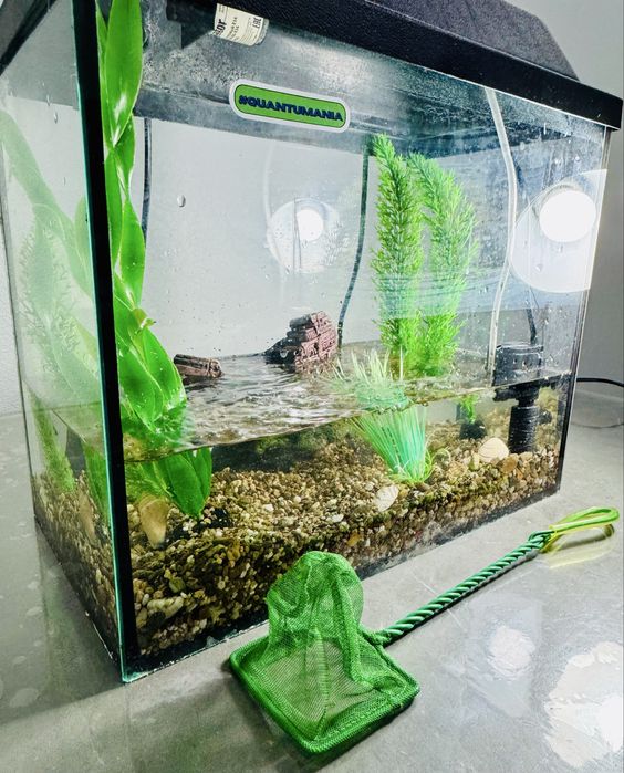Аквариум 38х31х21 для рыб