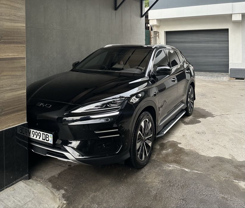 BYD Champion smart 2025
