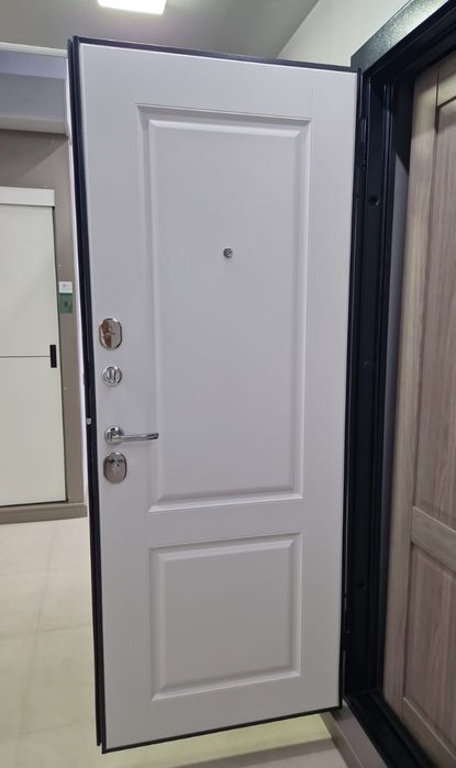 Входные (металлические) двери