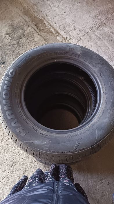 Harmonica Шина ...