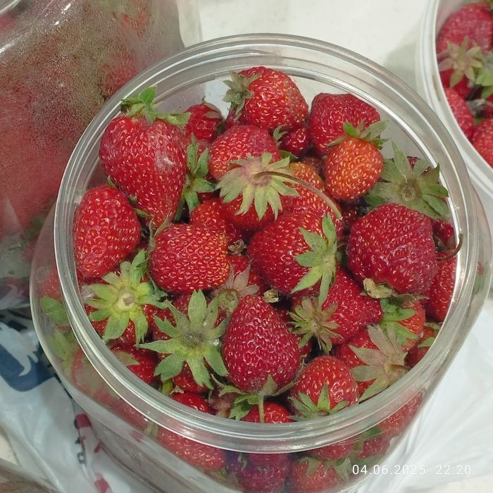 Продаю дачную клубнику