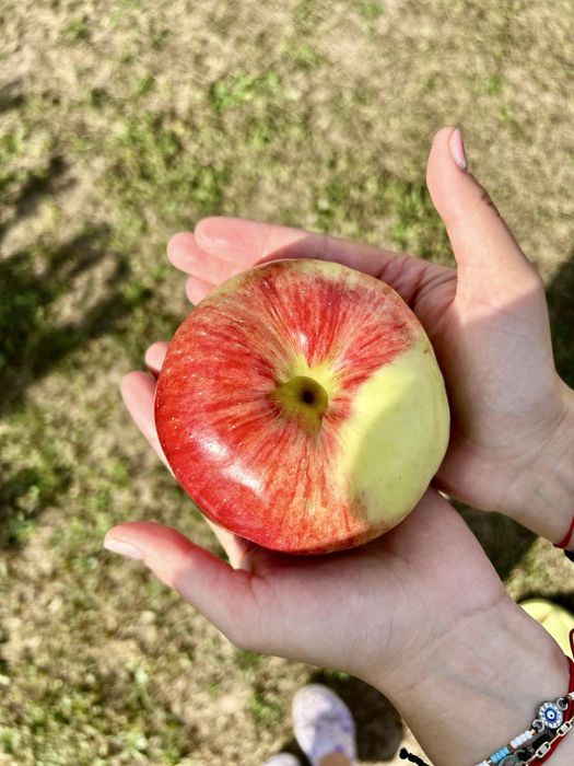 Suc de mere 100% NATURAL