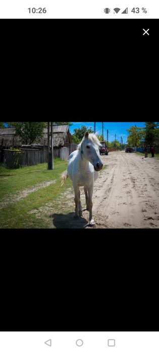 12-18 Rate - 1800mp Letea Delta Dunarii Tulcea Teren Hotel Pensiune Ca