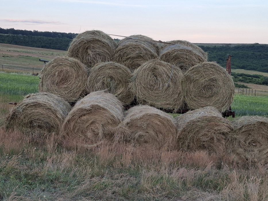 Vînd baloți de lucernă rotunzi 120/120