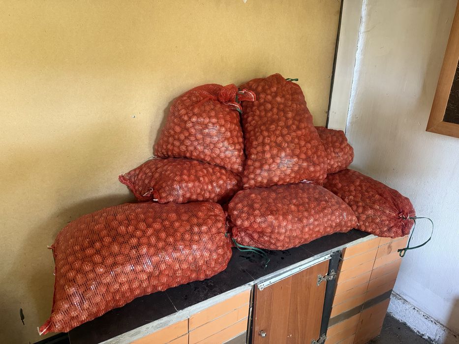 Продаи Грецский орех