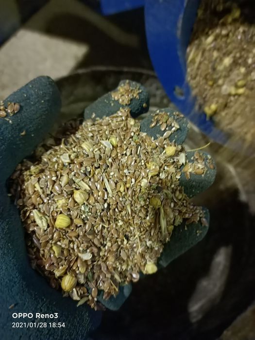 Корма для всех животных