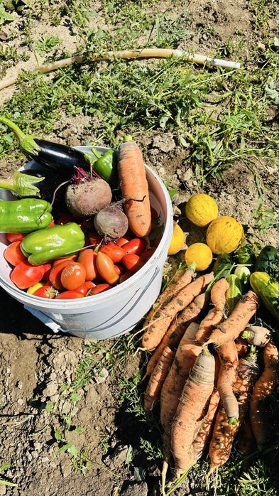 Продам дачу на Баме  2 участка