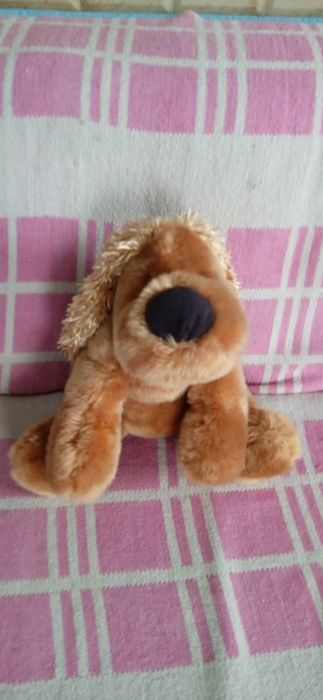 Продам собачку плюшевого .