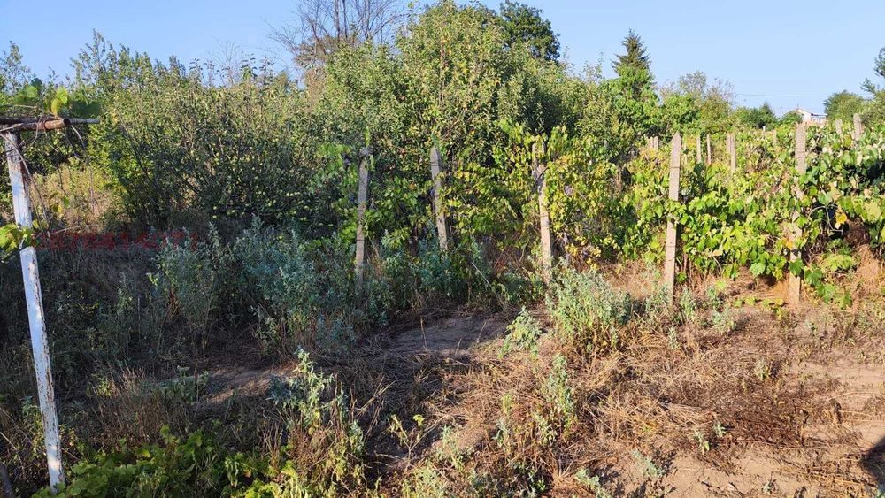 Продава се Парцел в с. Полковник Минково, Област Добрич - 2400 кв.м за 7 €/кв.м - Снимка #5
