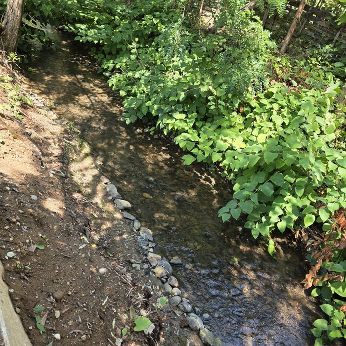 Casă de vânzare, zona Valea Borcutului