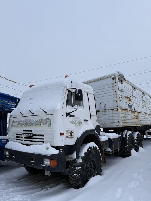 Скотовоз мал тасу