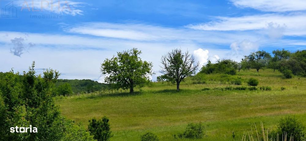 Casa Cu Teren Generos In Herina, Bn – Oportunitate De Investitie Turis