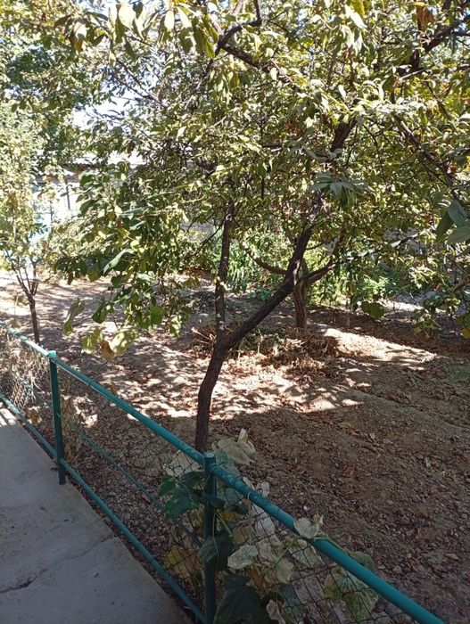 Продается свой дом