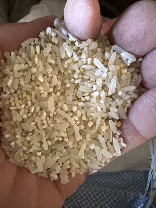 Сечка корм для кур и птиц