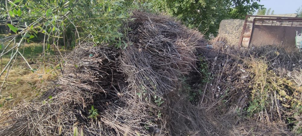 Quruq vogli otin sotiladi