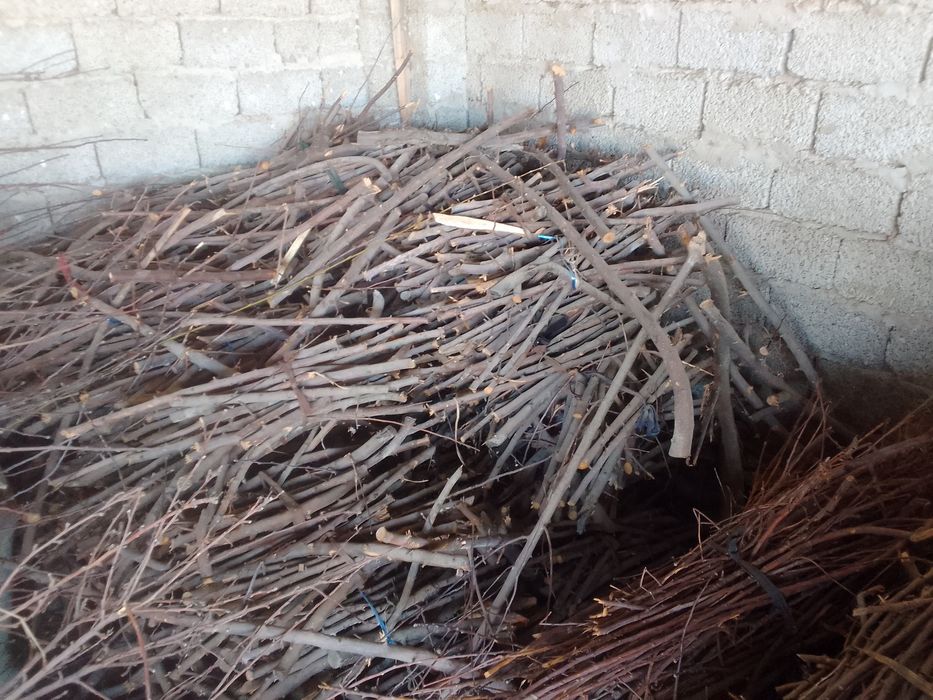 Утин тандирга сотилади