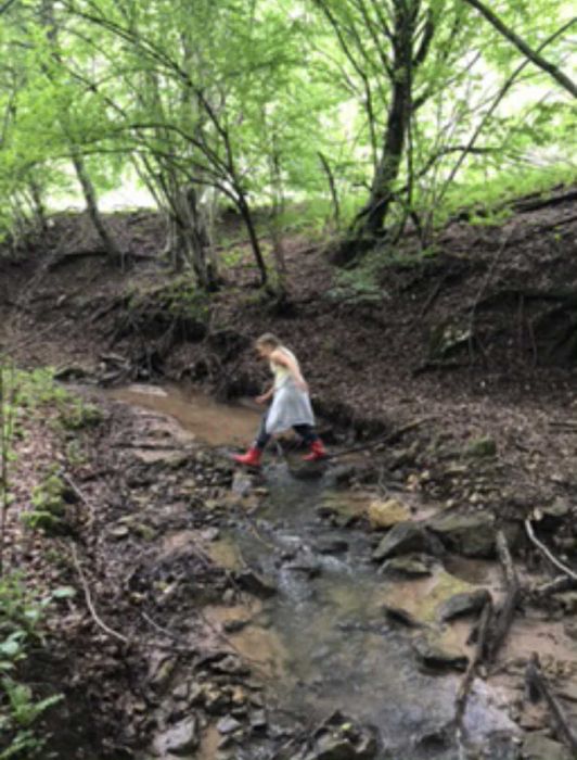 Conac de vânzare în stana