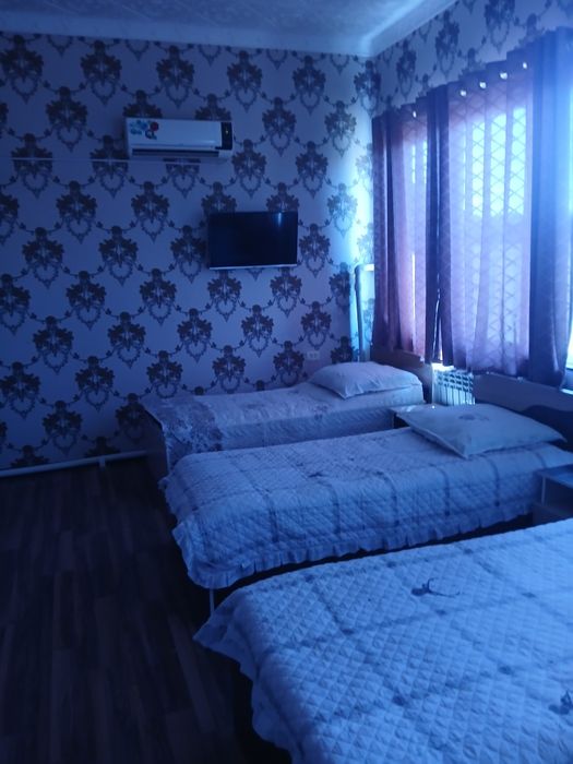 Hostel mir said baxrom